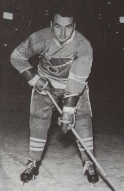 Jaroslav Ji��k ji� v dresu St.Louis Blues